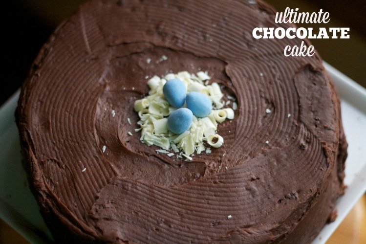 ultimate chocolate cake, birthday cake, easter cake, bird nest on top of chocolate cake