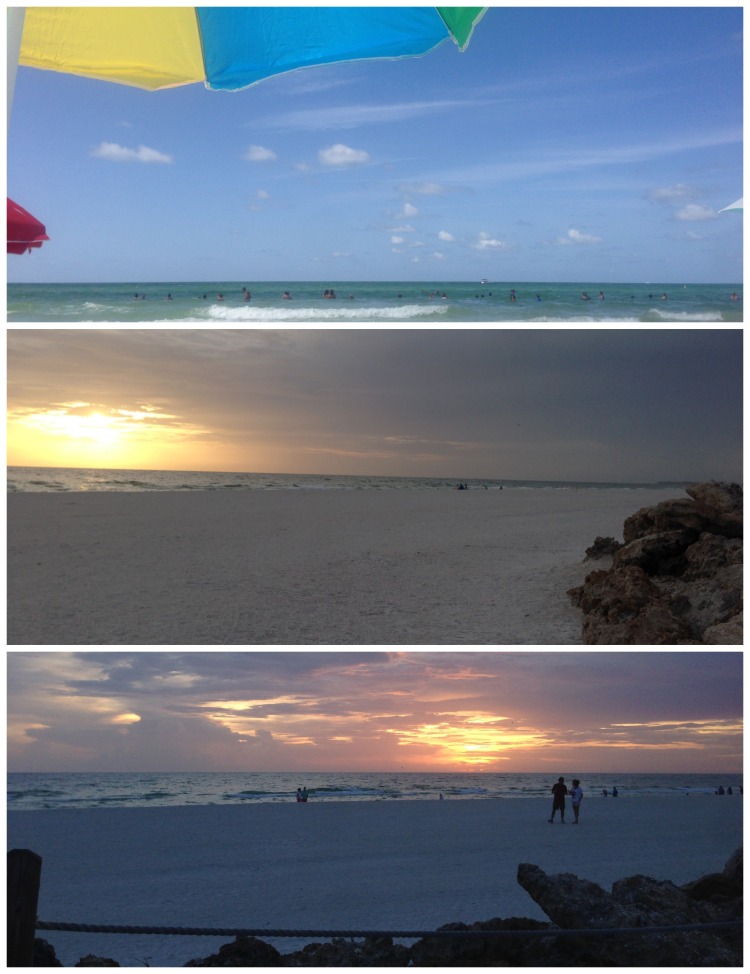 beach, florida, family, birthday, swiss mountain dog, sunset, anna marie island, siesta key
